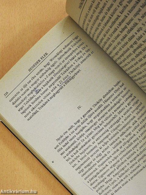 Nagy magyarok élete I-II.