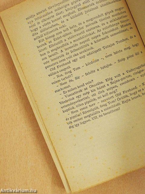 Az Ezüst-tó kincse