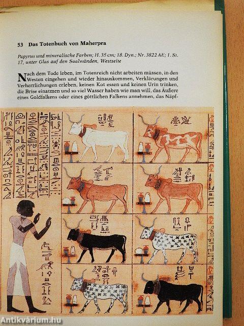 Kunst des alten Ägypten im Museum Kairo