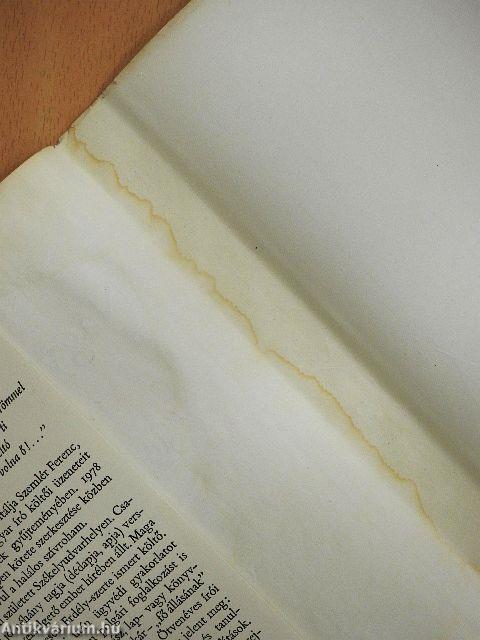 Nagy folyamok mellett