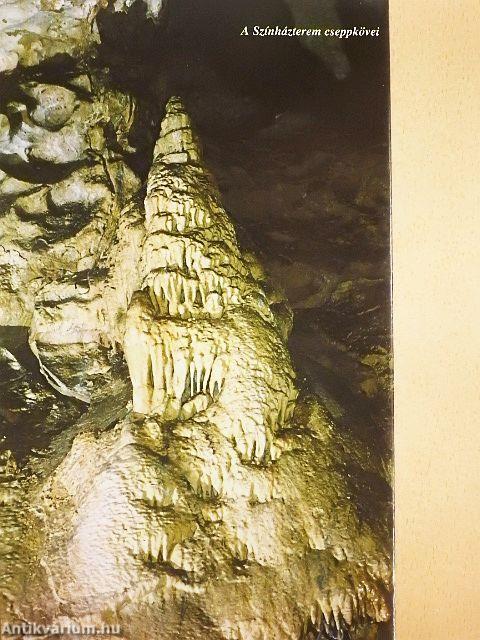 Pál-völgyi-barlang