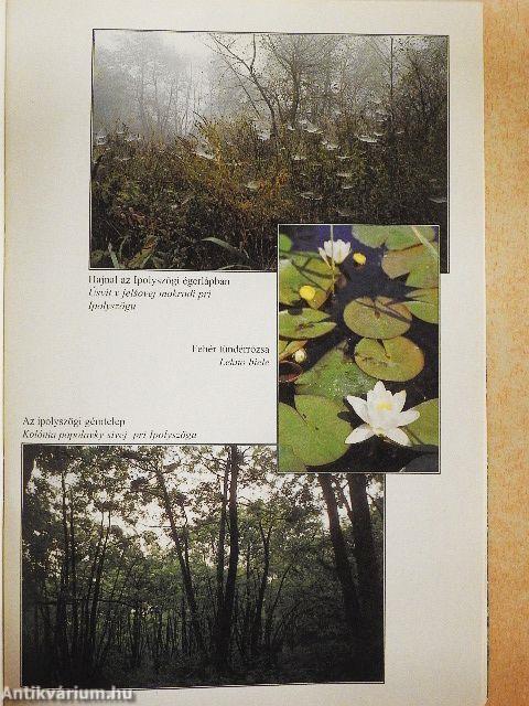 Az Ipoly-vidék természeti képe 2.