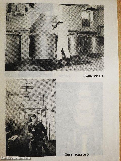 Hajdú-Bihar megyei Büntetés-végrehajtási Intézet Debrecen