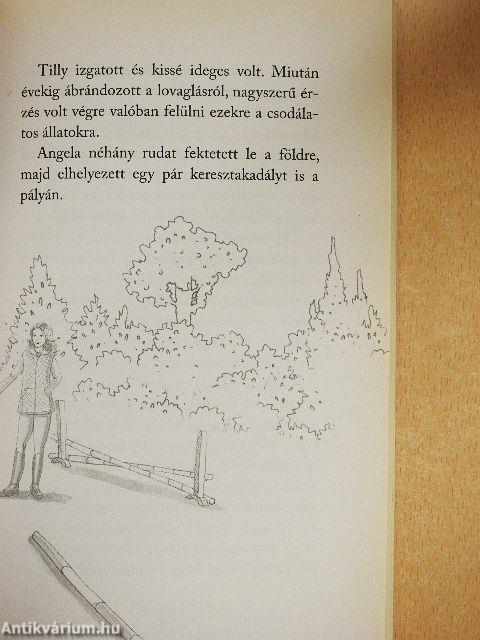 Sámson - Ünnepi lovasbemutató