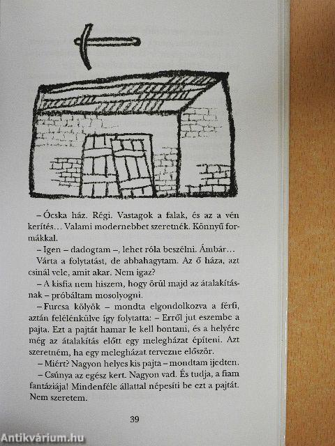 A kisfiú meg az oroszlánok