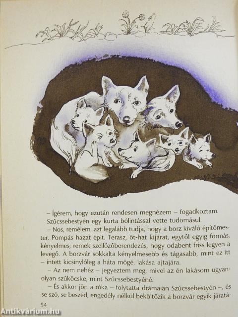 Borz a sámlin (dedikált példány)
