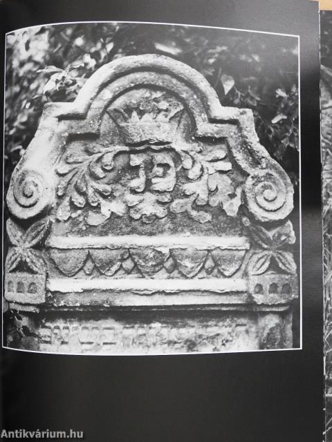 Itt van elrejtve (dedikált példány)