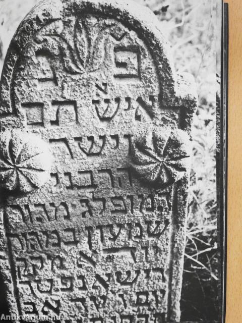 Itt van elrejtve (dedikált példány)