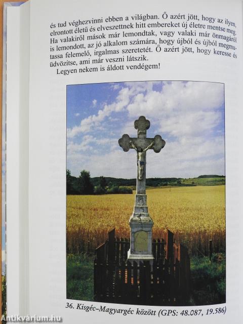 Hittel, mely a szeretet által tevékeny (dedikált példány)