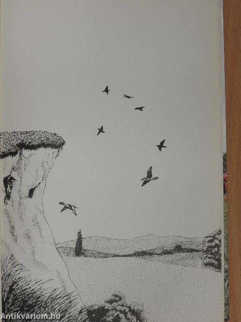 Az Ipoly-vidék természeti képe 2.