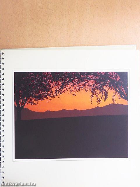 Stunden der Zuversicht