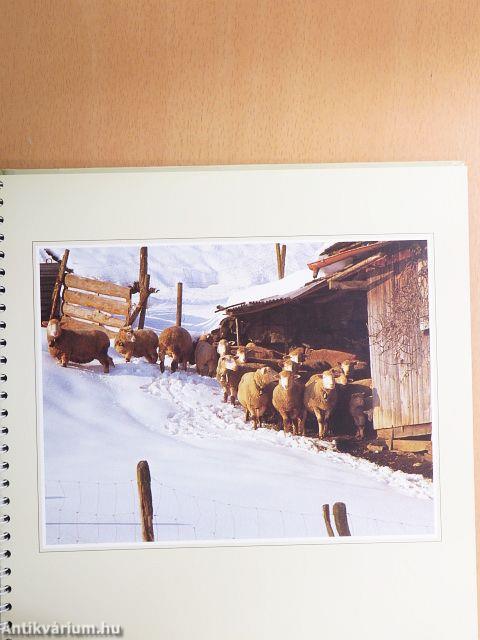 Stunden der Zuversicht