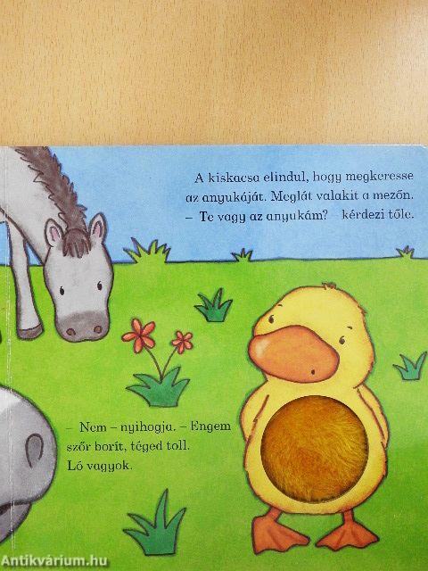 Te vagy az anyukám? - A kiskacsa