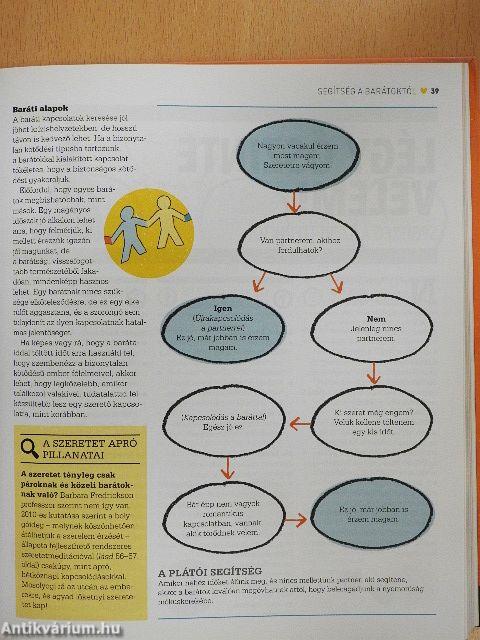 Szerelem - A vonzalom pszichológiája