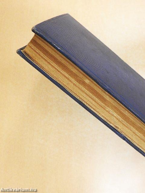 Nietzsche romantikus korszaka