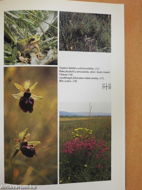 Egy cseppnyi Magyarország (dedikált példány)