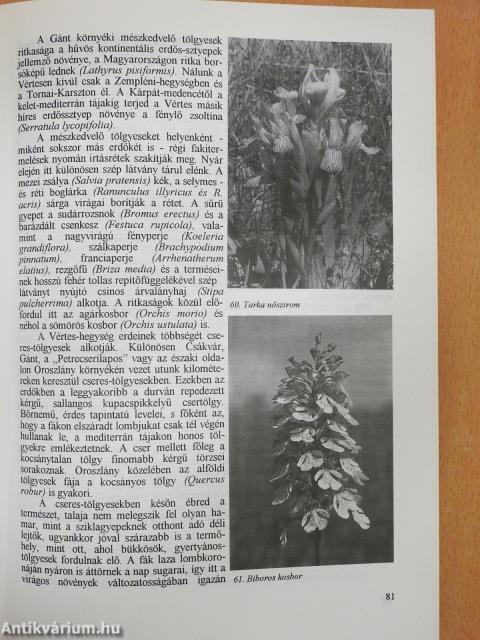 Egy cseppnyi Magyarország (dedikált példány)