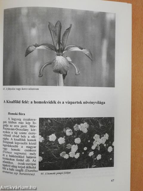 Egy cseppnyi Magyarország (dedikált példány)