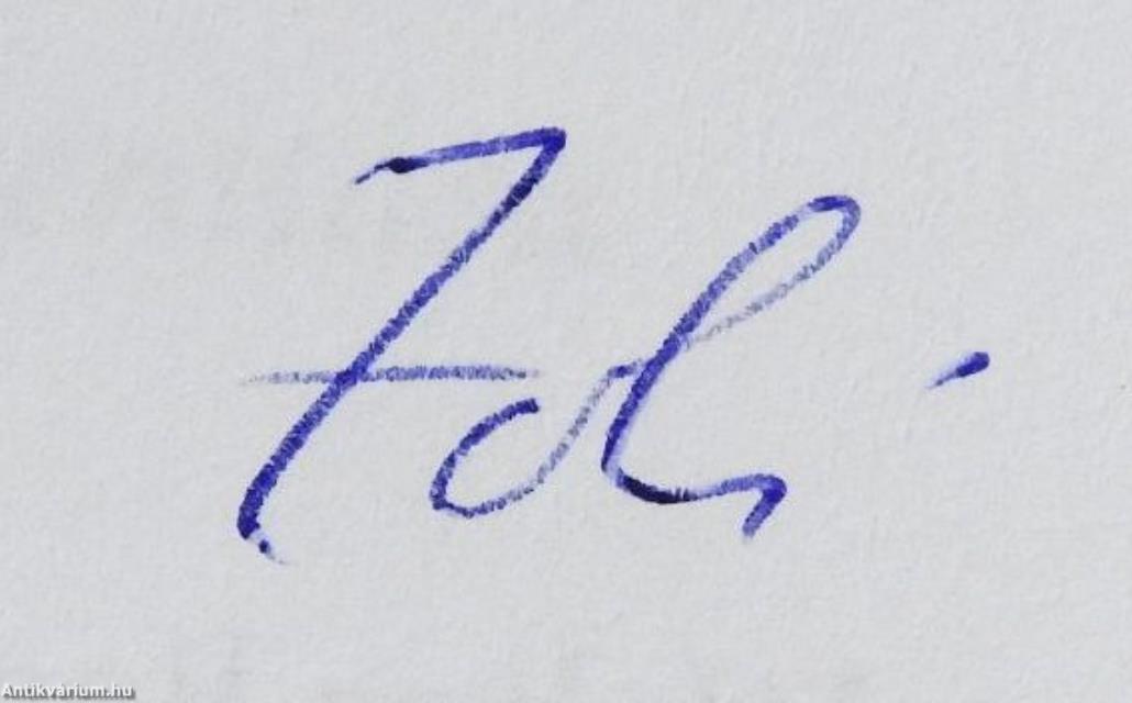 A gondolkodás háborúi (dedikált példány)