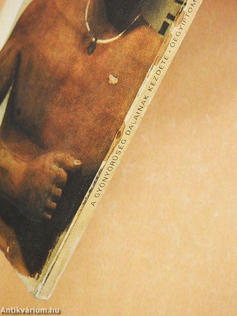 A gyönyörűség dalainak kezdete