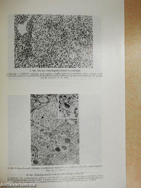 Az orvostudomány aktuális problémái 25