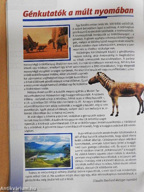 Szövegértést fejlesztő gyakorlatok 8. osztály