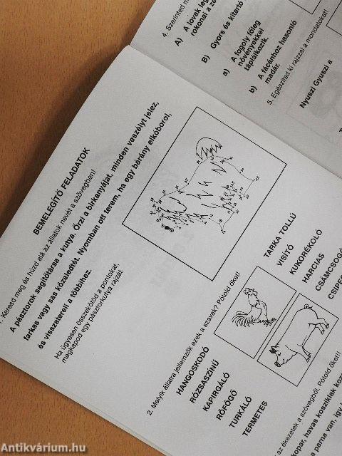 Általános iskolai gyakorlófüzetek - Olvasás és szövegértés 2. osztály