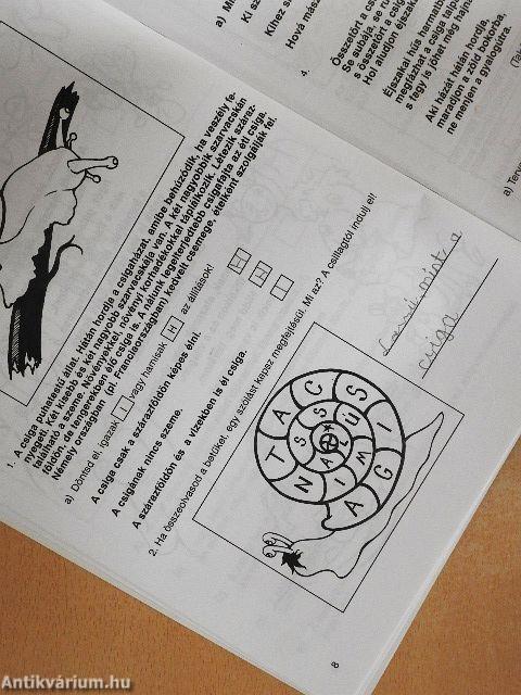 Általános iskolai gyakorlófüzetek - Olvasás és szövegértés 2. osztály