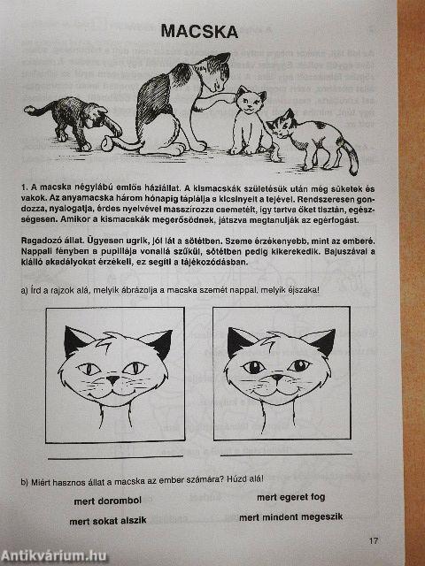 Általános iskolai gyakorlófüzetek - Olvasás és szövegértés 2. osztály