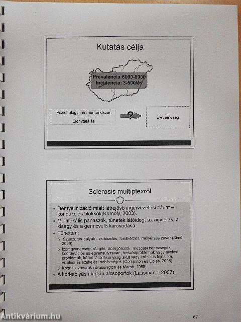 Viselkedéselemzői portfólió