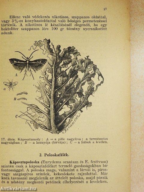 Szántóföldi növények kártevői