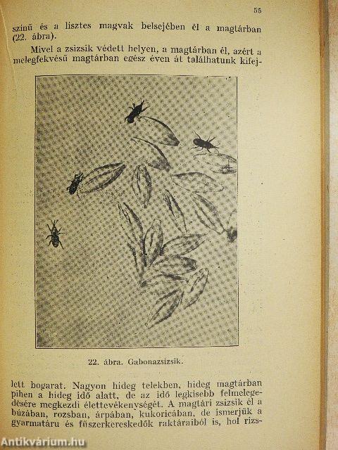 Szántóföldi növények kártevői