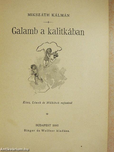 Galamb a kalitkában