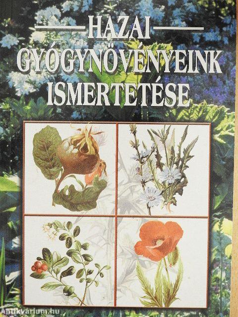Hazai gyógynövényeink ismertetése