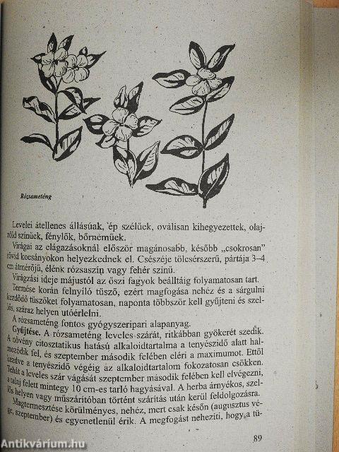 Hazai gyógynövényeink ismertetése