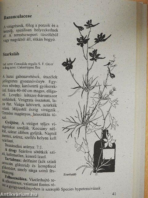 Hazai gyógynövényeink ismertetése