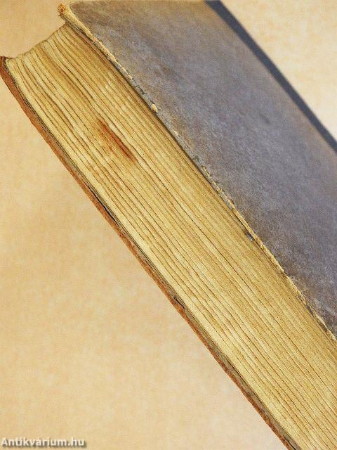 Lányok az intézetben