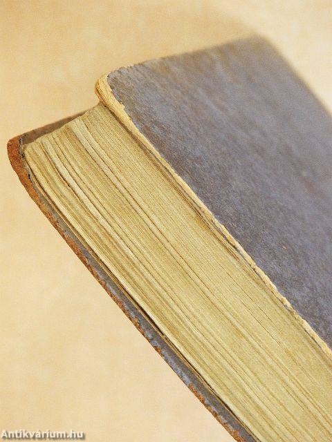 Lányok az intézetben