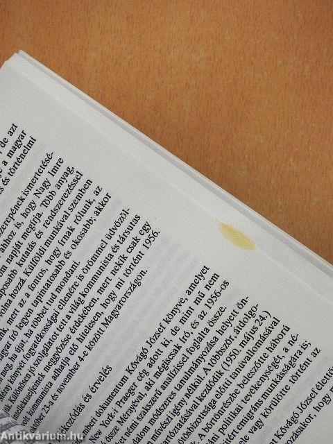 Népiség, radikalizmus, demokrácia