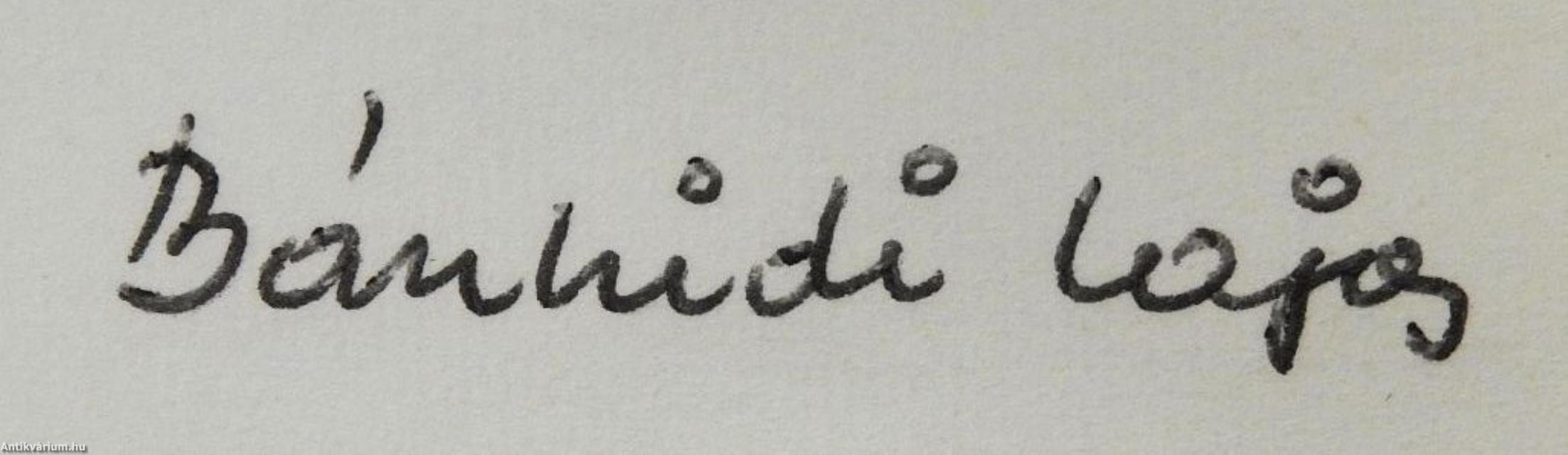 Vídiaszilánkok (dedikált példány)