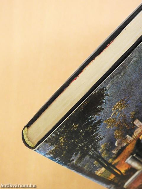 Lagúnák (dedikált példány)