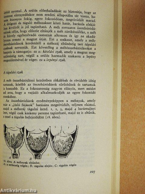 Szülőszoba, tessék belépni!