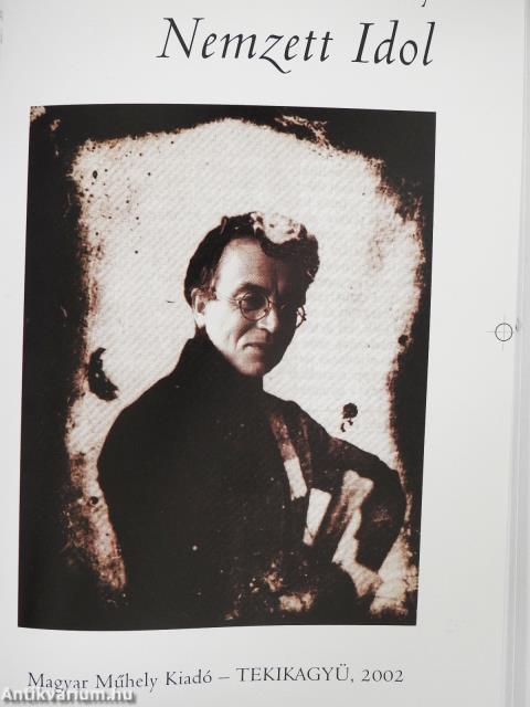 Abszurd napszúrás (aláírt példány)