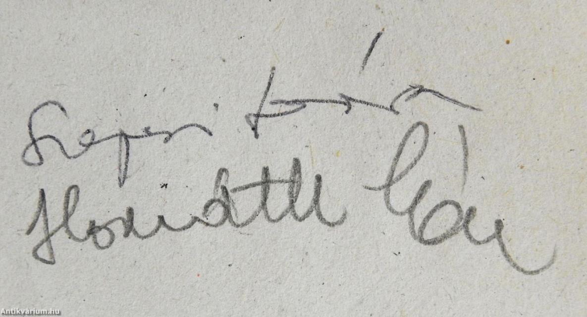 Harmónia az ételben-Harmónia az életben (kétszeresen dedikált példány)