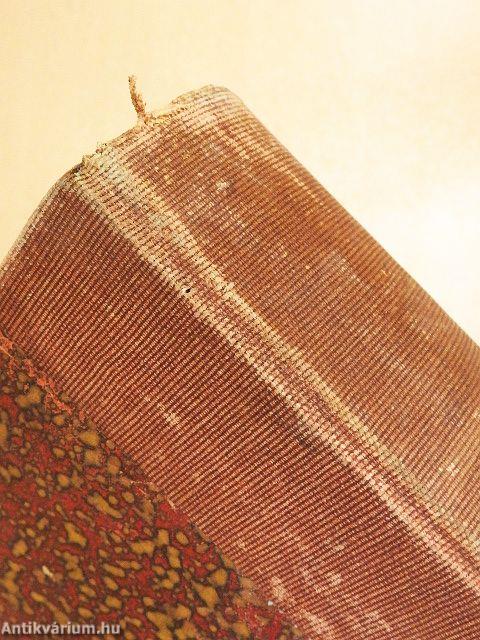 Tolnai Világlapja 1907. (nem teljes évfolyam) 