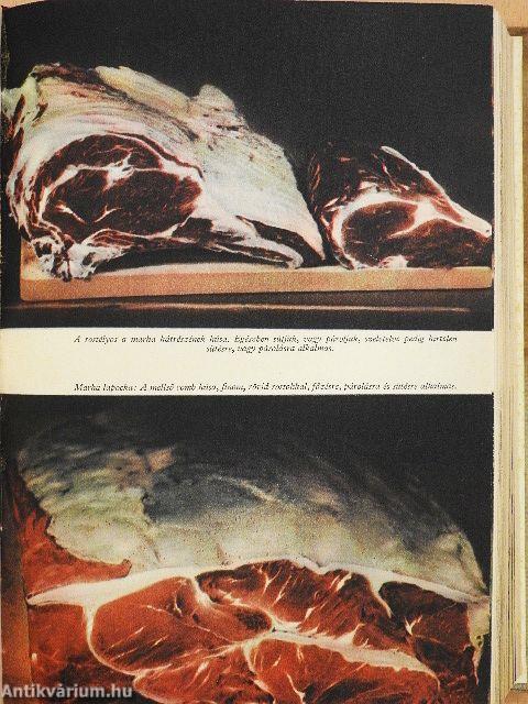 Főzzünk egészségesen, ízletesen és gazdaságosan