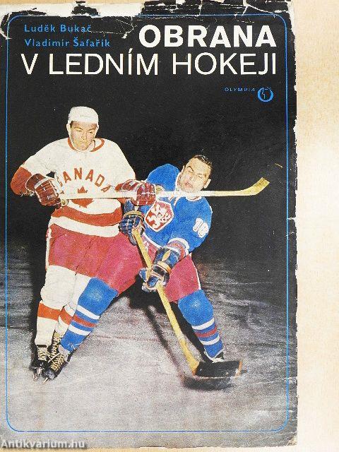 Obrana v ledním hokeji