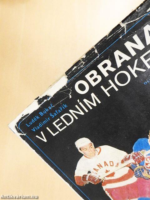 Obrana v ledním hokeji