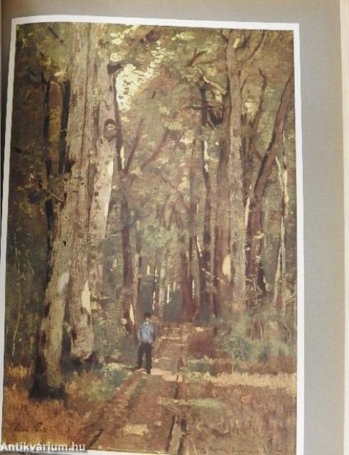 Magyar művelődéstörténet 5.