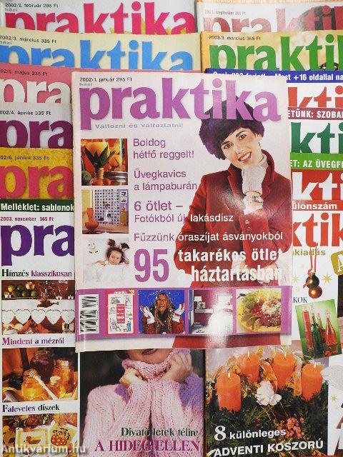 Praktika 2002-2004. (vegyes számok) (13 db)